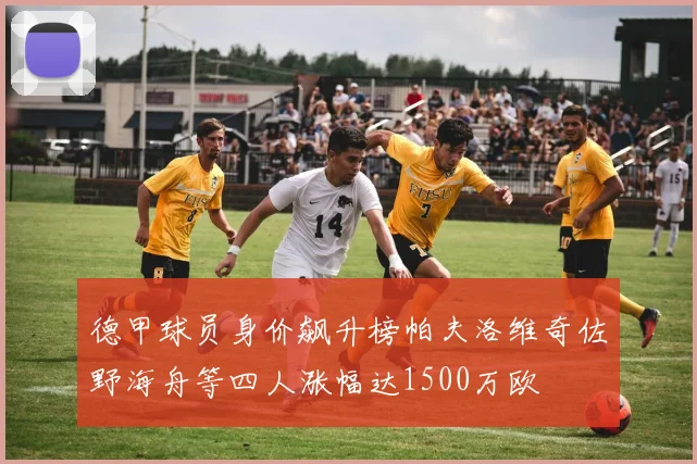 德甲球员身价飙升榜帕夫洛维奇佐野海舟等四人涨幅达1500万欧