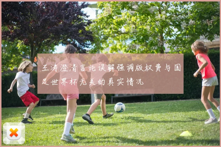 王涛澄清言论误解强调版权费与国足世界杯无关的真实情况
