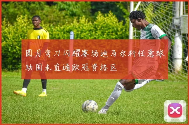 圆月弯刀闪耀赛场迪马尔科任意球助国米直通欧冠资格区