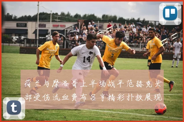 荷兰与摩洛哥上半场战平范赫克头部受伤流血费布吕亨精彩扑救展现实力