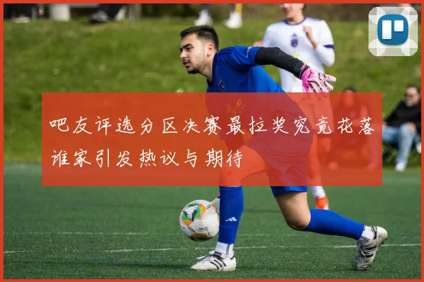 吧友评选分区决赛最拉奖究竟花落谁家引发热议与期待